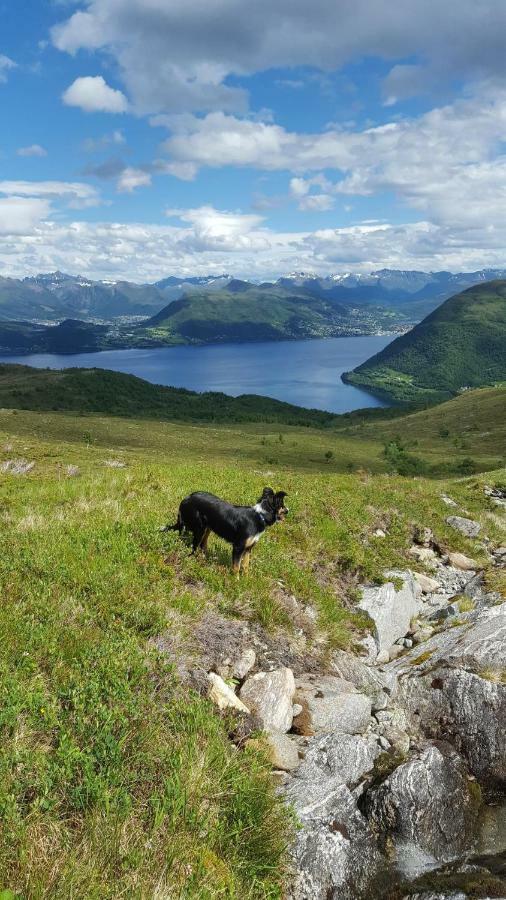 Villa Tiny House With Fjordview! Lauvstad Exterior foto